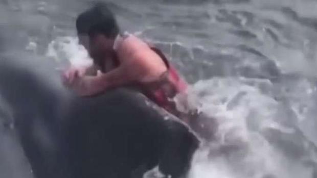 328a1 Fisherman s Rescue of Entangled Whale Caught on Camera Here Are the Top 5 Bay Area Stories of 2018
