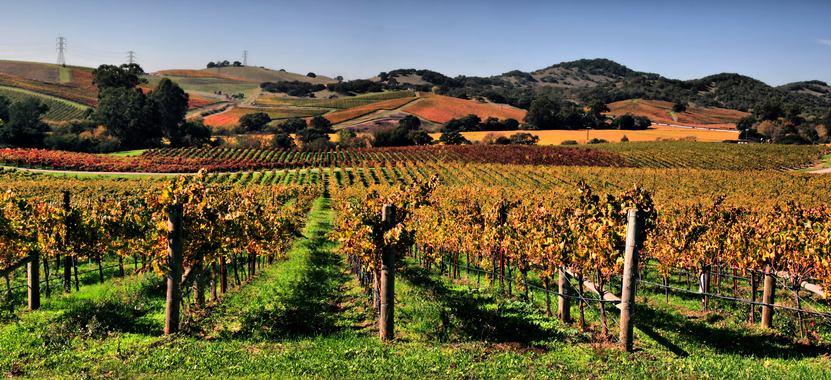 3921a brocken inaglory7 Only four Bay Area cities beat Californias median rent