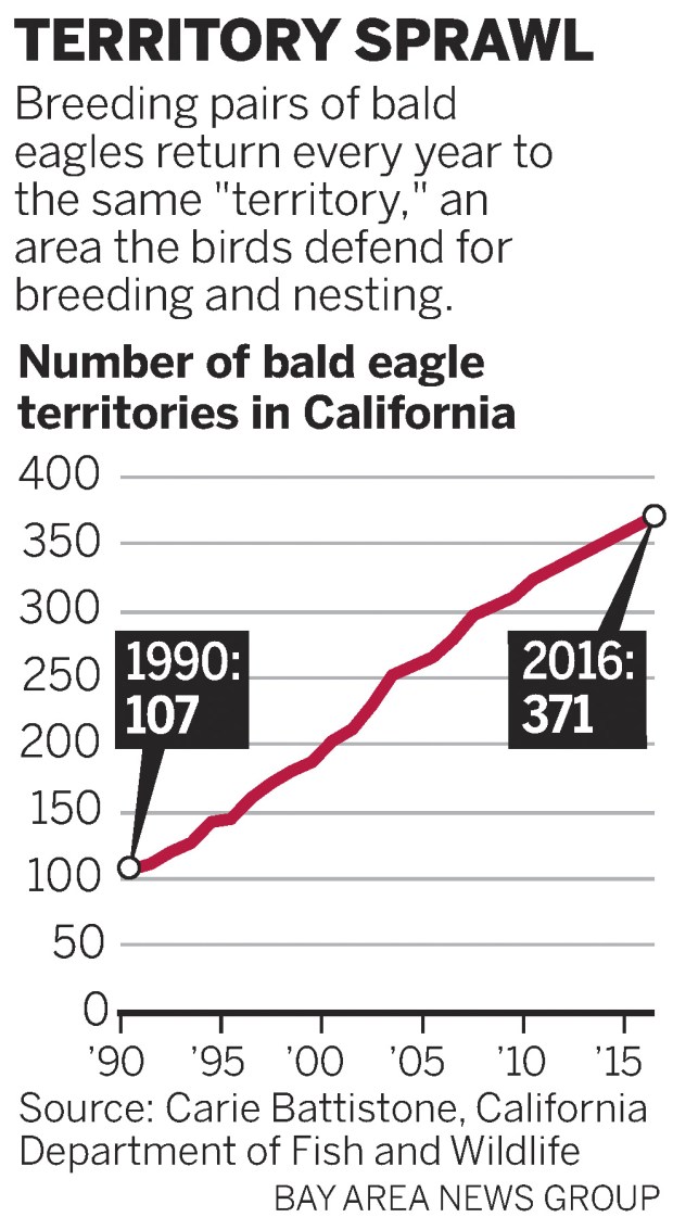 3927c eagles 040217 chartweb In Bay Area, bald eagles breed and soar once more