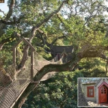 3ed54 thumbs p3 $39M Alamo estate offers over 21000 square feet of over the top luxury