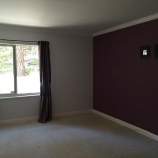 4f6a9 thumbs dh4 SFs November median 1 BR rent goes down almost 5 percent