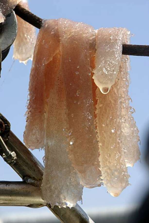5508f 920x920 Bizarre sea pickles invade the West Coast by the millions