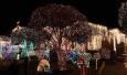 8b111 thumbs 1963 eucalyptus 2010 1 Holiday homes of the Bay Area