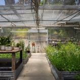 8bbd1 thumbs l2 $25M estate, formerly Bill Grahams, is Marins greenest–and most expensive– mansion