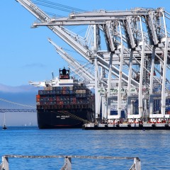 a840d 15128909088 f67a71eb5c k 240x240 Port Commissioner resigns amid real estate accusations