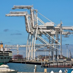 a840d 7120812239 dedb4953cc k 240x240 Port Commissioner resigns amid real estate accusations