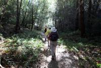  Bay Area open space: 75 percent is being protected, but 300000 acres are still ...