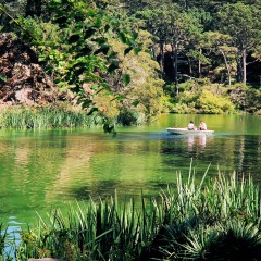 c8b61 7859391524 0a62f2df7f k 240x240 SF property values balloon to $191 billion