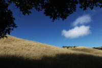  Bay Area open space: 75 percent is being protected, but 300000 acres are still ...