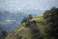  Bay Area open space: 75 percent is being protected, but 300000 acres are still ...